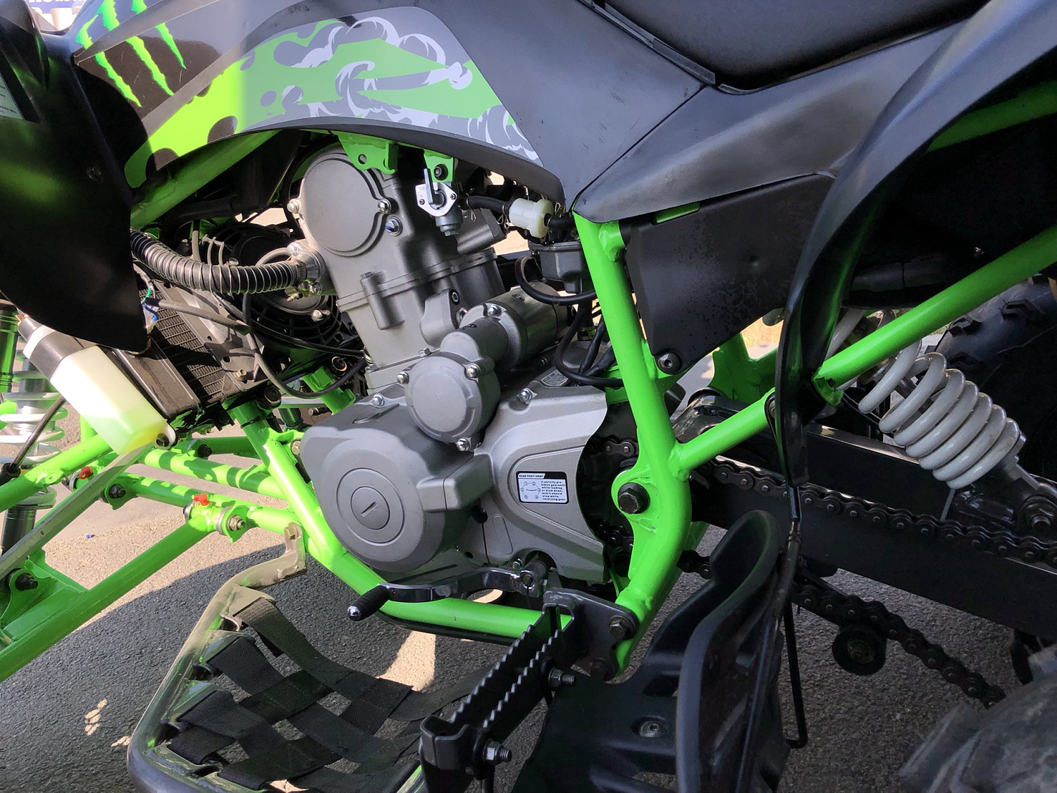 Квадроцикл PROMAX RAPTOR 300 NEW Monster в Челябинске