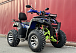  Квадроцикл PROMAX ATV 250 MAX (2025) в Челябинске