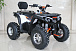 Квадроцикл GBM STORMRIDER 320 PREMIUM в Челябинске