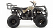 Квадроцикл MOTOLAND (МОТОЛЕНД) 200 ALL ROAD в Челябинске