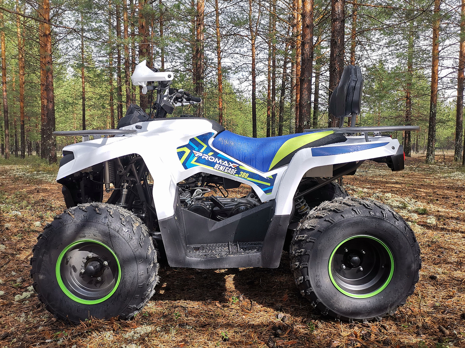 Квадроцикл PROMAX RENEGADE 280 (2025) в Челябинске