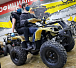 Квадроцикл PROMAX ATV 250 (2025) в Челябинске