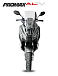 МаксиСкутер PROMAX-HONDA ADV 150 (49) (Inspired by HONDA) в Челябинске