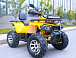Квадроцикл MOTOLAND (МОТОЛЕНД) VOX200 WILD TRACK X PRO (баланс. вал) в Челябинске