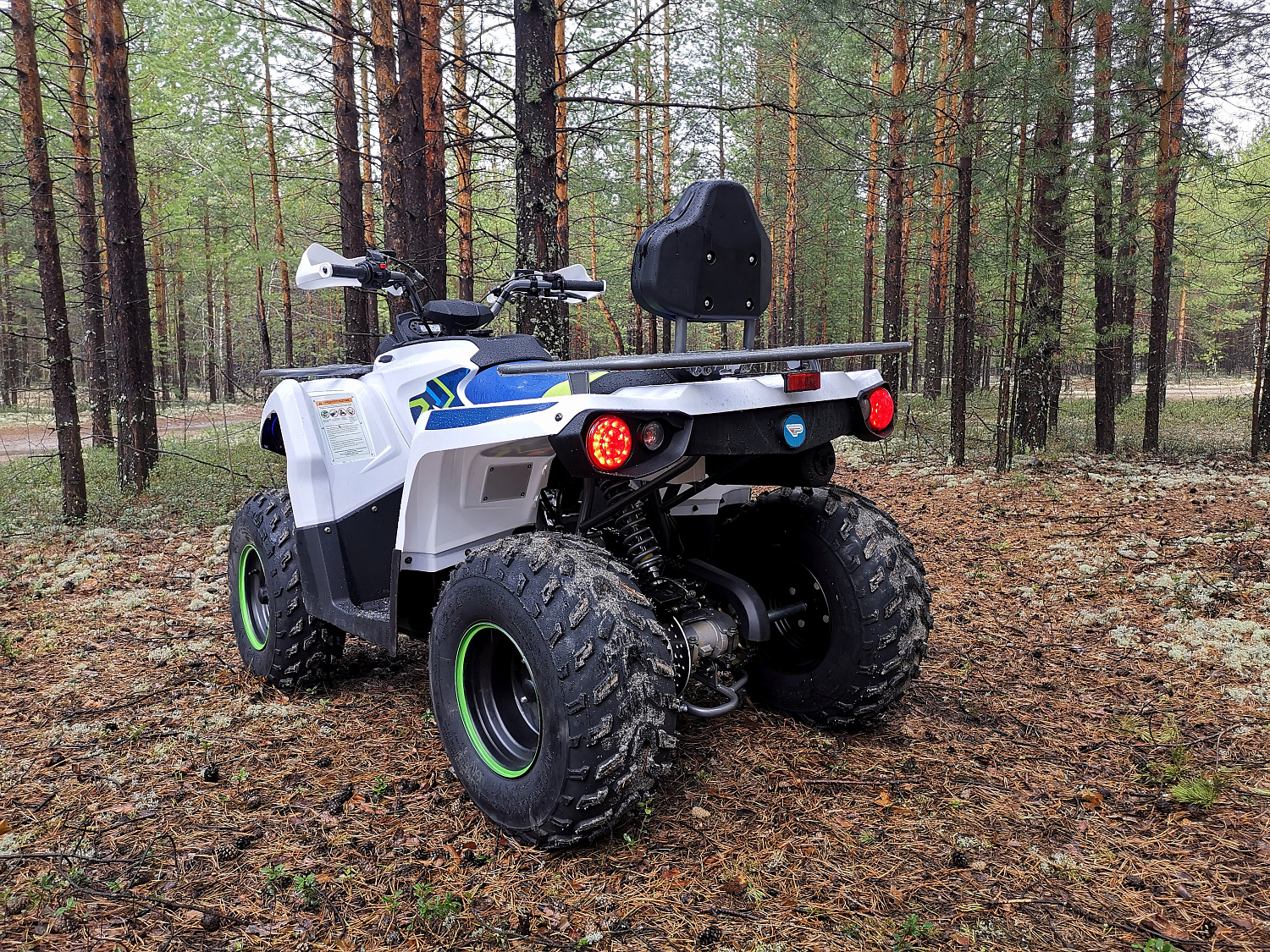 Квадроцикл PROMAX RENEGADE 280 (2025) в Челябинске