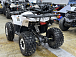 Квадроцикл PROMAX WILD 2.0 190 LUX в Челябинске