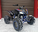Квадроцикл PROMAX RAPTOR 300 NEW RedBull в Челябинске