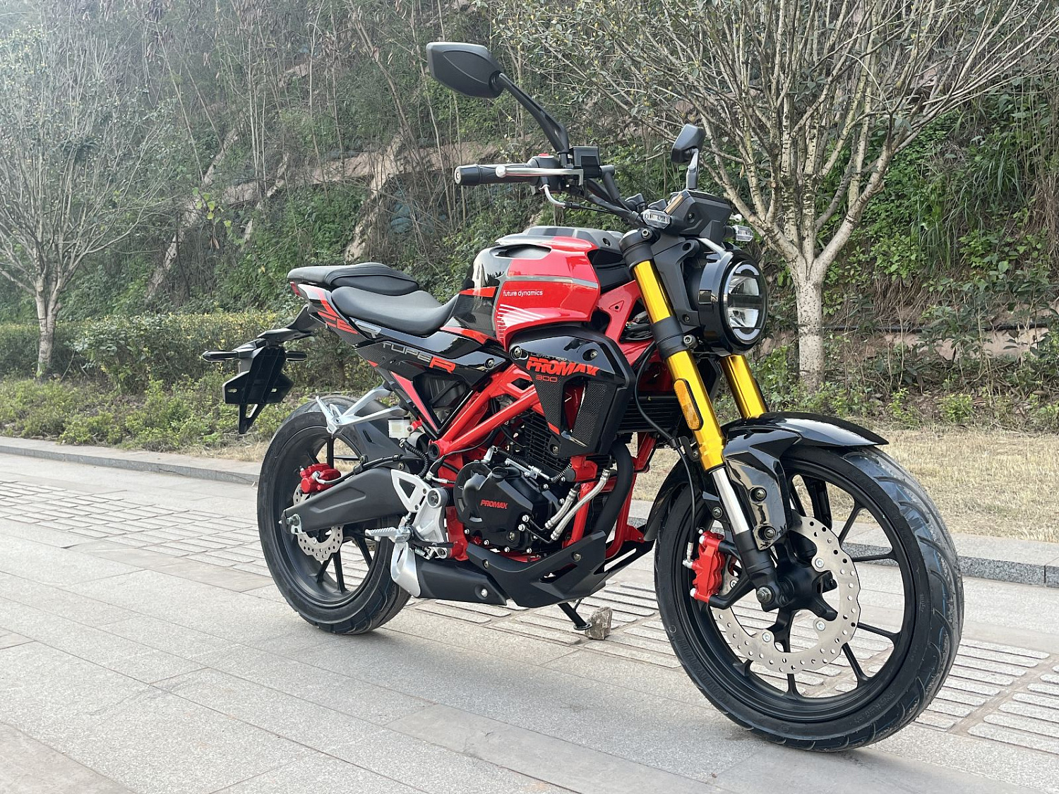 Мотоцикл PROMAX CB300RL (4V, 6G) в Челябинске