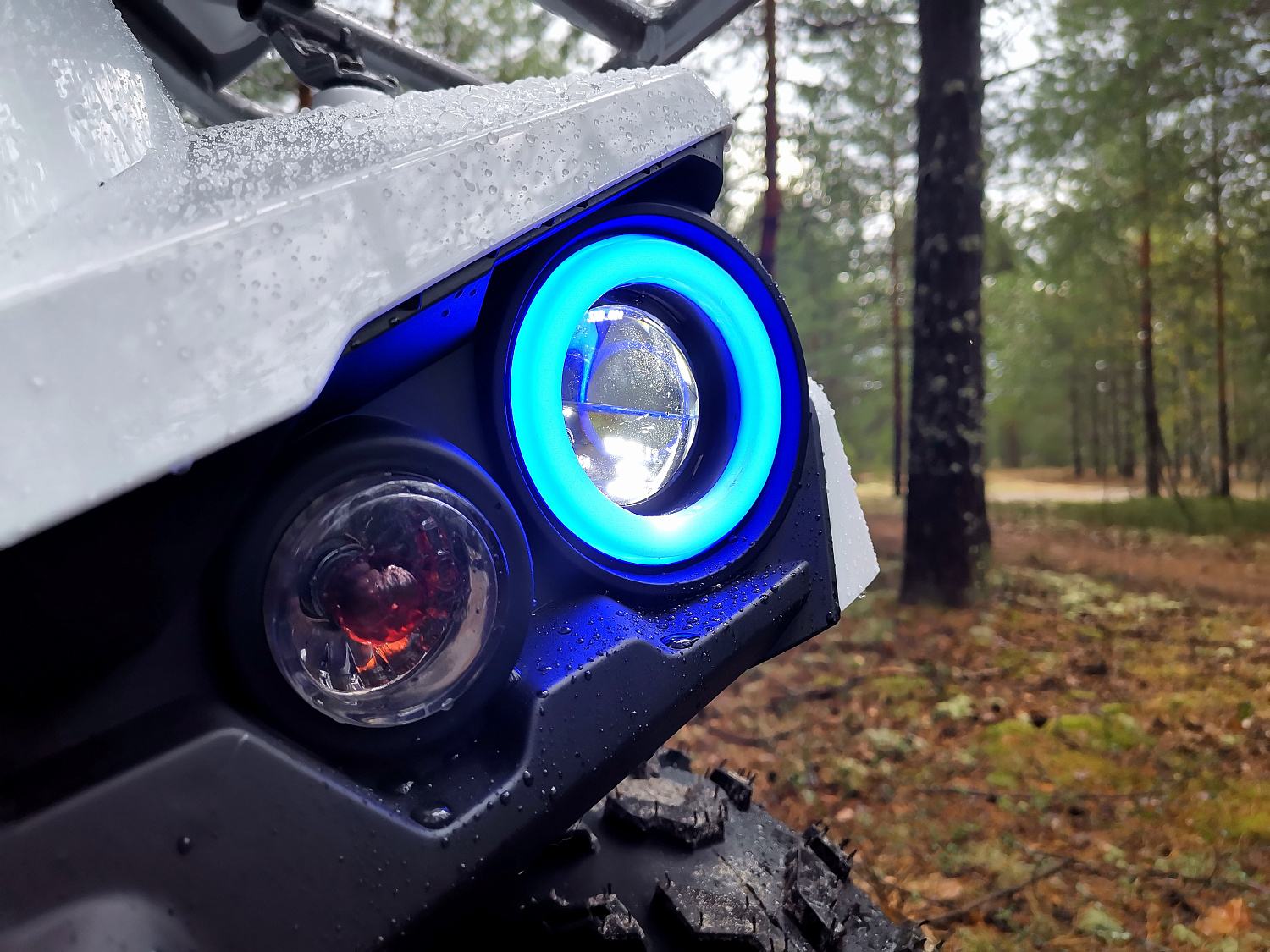 Квадроцикл PROMAX RENEGADE 280 (2025) в Челябинске