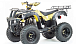 Квадроцикл MOTOLAND (МОТОЛЕНД) 250 ADVENTURE в Челябинске