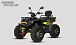 Квадроцикл PROMAX TAURUS 300 MAX-PRO LONG в Челябинске